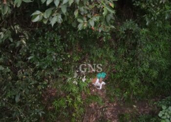 Poonch encounter: IED Recovered, Destroyed During Searches In Mendhar Woods