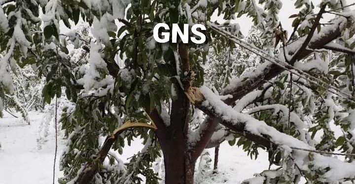 Rains Drench J&K, Light To Moderate Snowfall In Several Kashmir Parts