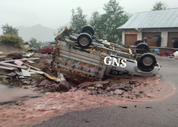 Mother-son duo among 3 killed, 4 Injured as load carrier turns turtle in Reasi
