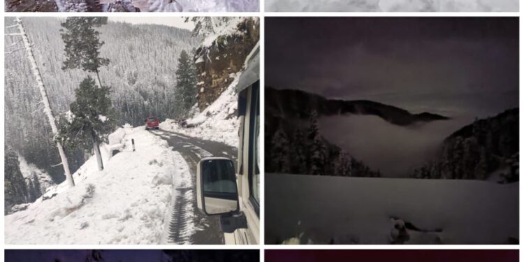 2 killed, as many rescued after trapped in snowfall at Sinthan Pass