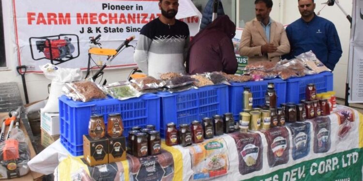 Lt Governor e-Inaugurates Jashn-e-Zafraan