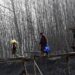 Night temperature falls across Kashmir, below normal in Gulmarg