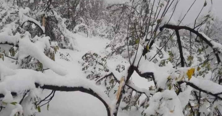 ‘Heavy Rain, Snow’ On Oct 23 Could Damage Orchards, Disrupt Highways: MeT