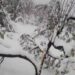 ‘Heavy Rain, Snow’ On Oct 23 Could Damage Orchards, Disrupt Highways: MeT
