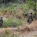 Soldier Injured In Mine Blast Along LoC in Poonch
