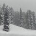 Night Temp Rises Amid Fresh Snowfall In Upper Reaches In Kashmir