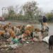 Pulwama Villages Caught in Awe Over Canine Population