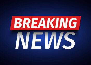 Grenade attack in Palhalan, 2 CRPF, 2 civilian injured