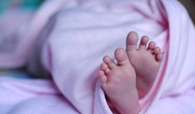 Newborn Baby’s ‘Burnt-Body’ Found In Garbage Outside GMC Rajouri