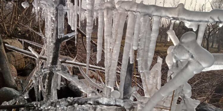 Intense Cold Conditions Prevail In J&K, Ladakh