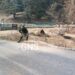 Suspicious Object Recovered, Destroyed in Kupwara