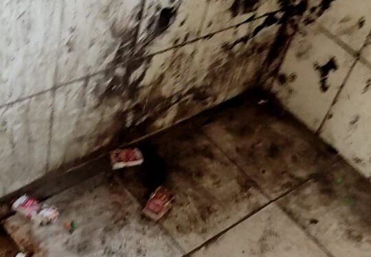 Students Rue Filthy Toilets At Amar Singh College