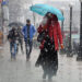 Rains Lash Plains, Snowfall In Upper Reaches Of J&K, Ladakh