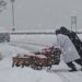 Dry Weather Expected For Next 10 Days As Rains, Snow Stops In J&K, Ladakh: MeT