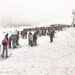 Tourists Urge Authorities To Allow Their Vehicles Upto Gulmarg Not Just Tangmarg