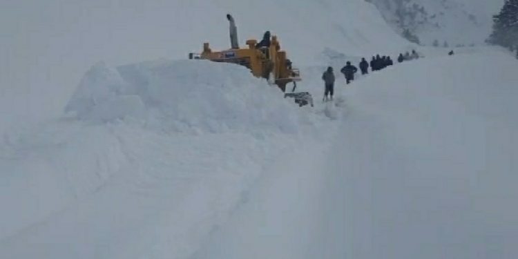 Project Beacon Ramps Up Clearance Operations on 57-Kilometre CTC Road in Kupwara