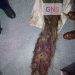 4 Persons Arrested for Alleged Killing of Peacock in Akhnoor