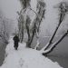 After Snowfall, Mercury Drops Slightly At Most Places In J&K, Ladakh