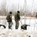 03 JeM militants killed in Overnight Chadoora Gunfight