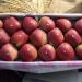 Illegal Apple Import From Iran Will Crush Kashmir’s Economy: NC