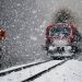 Fresh Snowfall In Most Parts Of Kashmir