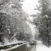 Gulmarg, Pahalgam Receive Light Snowfall, Rains Lash Plains In J&K