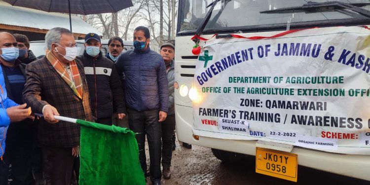 Advisor Farooq Khan inaugurates sale of vegetable seedlings at Lal Mandi