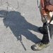 Policeman Shot at in Shopian, Critical