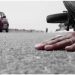 Army Soldier Killed, Another Injured After Hit By Truck Near Parimpora Srinagar