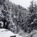 Snow, rainfall in Kashmir Valley