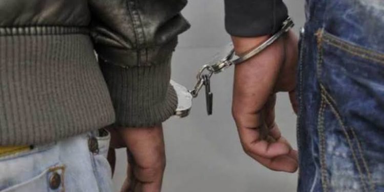 SIA Says 10 ‘Identified’ OGWs Of JeM Arrested In Kashmir