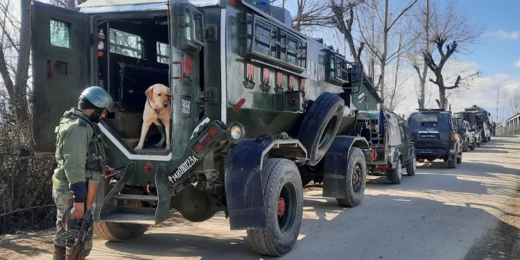 Newly Recruited Militant Injured, Arrested In Langate Handwara