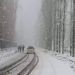 MeT Predicts Widespread Rains, Snowfall On March 6, 7