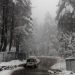 Fresh snowfall in upper reaches, rains lash plains in Kashmir