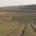 AC approves transfer of land for various public purposes