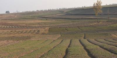 AC approves transfer of land for various public purposes