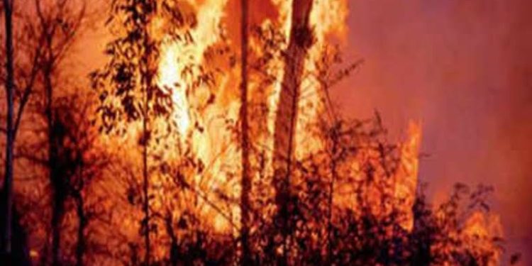 3 Houses, 2 Cowsheds Gutted In Overnight Blaze In Handwara