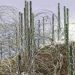 Man Repatriated At LoC Point In Poonch