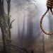 Sub Inspector Found Hanging Inside His Quarter In Rajouri