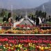 Tulip garden thrown open to public