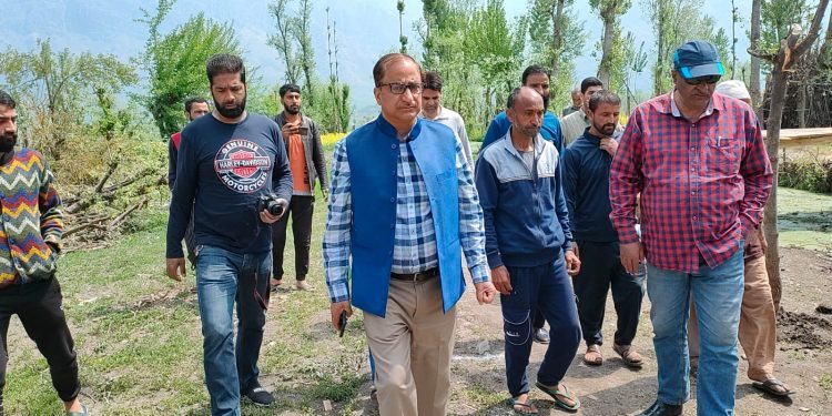 DG Horticulture conducts extensive tour of Dal Lake, adjoining areas