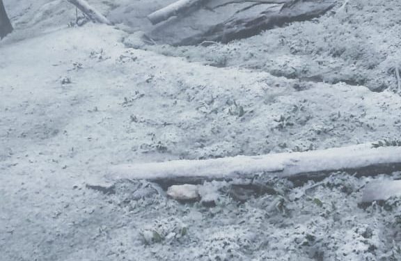 Rains, Snowfall In Kashmir; Freaky Weather Forecast On Friday