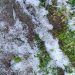 Hailstorm hits many villages of Kupwara