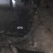 11 Cattle Burnt Alive After Fire In Cowshed In Poonch