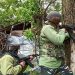 LeT Militant Killed In Baramulla, Operation in Progress, Three more trapped: Police
