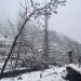 Rains, Snowfall Plunges Night Temp Below Normal In J&K