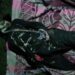 Missing man’s dead body found in Anantnag forests