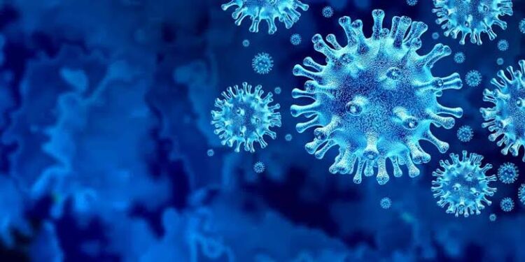 J&K reports 7 new covid-19 cases, no death
