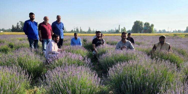 Director Agriculture Kashmir visits SM Farm Allowpora