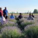 Director Agriculture Kashmir visits SM Farm Allowpora